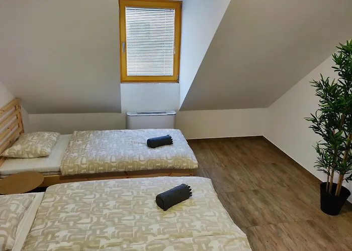 Pubyland & شقة Rogatec